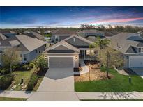 Charming single-Gathering home featuring a manicured lawn, two-car garage, and inviting front porch at 10919 Blue Magnolia Ln, Parrish, FL 34219