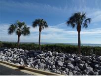 Scenic waterfront view featuring palm trees, lush greenery, and a rocky shoreline under a bright blue sky at 4555 Bay Club Dr # 22, Bradenton, FL 34210