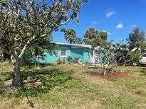 Charming single-story home with an aquamarine facade surrounded by lush greenery and tropical foliage at 540 Palmetto Ne Dr, Port Charlotte, FL 33952