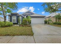 Charming single Gathering home featuring a well-manicured front yard and a two-car garage at 8339 Canterbury Lake Blvd, Tampa, FL 33619