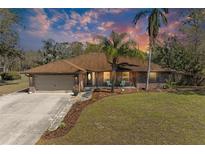 Charming single-story brick home with lush landscaping, mature palms, and a two-car garage at 1127 133Rd E St, Bradenton, FL 34212