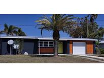 Charming single-story home with a well-manicured lawn, a palm tree, and a pop of color with the front door at 125 Palmetto Ne Cir, Port Charlotte, FL 33952