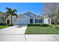 Charming single-Gathering home with a well-manicured lawn and a two-car garage at 15408 Trinity Fall Way, Bradenton, FL 34212