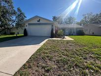 Charming single Gathering home with a well-maintained lawn and a two car garage at 10522 Green Meadow Ln, Port Richey, FL 34668