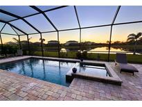 A screened-in pool and spa overlook the peaceful water view at sunset at 4820 Coastal Days Ln, Bradenton, FL 34211