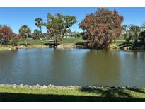 Scenic view of the pond surrounded by lush trees on a bright day at 3500 El Conquistador Pkwy # 357, Bradenton, FL 34210