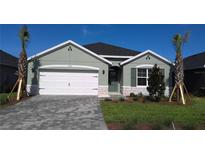 Charming single-Gathering home featuring a two-car garage, paved driveway, and well-manicured lawn at 17060 James Trl, Parrish, FL 34219