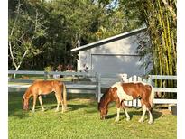 Exterior yard featuring two horses grazing on a sunny day, with a fence and home in the background at 2070 59Th St, Sarasota, FL 34243