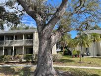 Well-maintained condo building with manicured lawn and beautiful mature tree in a desirable community at 2224 Bahia Vista St # E6, Sarasota, FL 34239