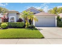 Charming single-story home featuring well-manicured lawn, palm trees, and a gray two-car garage at 16620 Fairbolt Way, Odessa, FL 33556