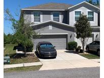 Charming two-story home featuring a gray exterior, well-maintained landscaping, and an attached two-car garage at 10668 Lake Montauk Dr, Riverview, FL 33578