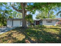 Charming single-story home with a well-manicured lawn and mature tree offering plenty of shade at 4806 Capri Ave, Sarasota, FL 34235