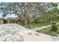 Inviting home exterior featuring a large shade tree, well-maintained lawn, and a driveway leading to an attached garage at 2815 Mayflower St, Sarasota, FL 34231