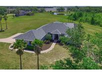 Beautiful aerial view of the property with lush landscaping and a serene pond in the backyard at 4412 Wolf Ridge Xing, Parrish, FL 34219