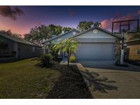 Charming single-story home with a two-car garage, well-manicured lawn, and a basketball hoop at 206 Bedford St, Oldsmar, FL 34677