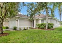 Attractive single-story home featuring a lush green lawn and a cozy, welcoming design at 18106 Canal Pointe St, Tampa, FL 33647