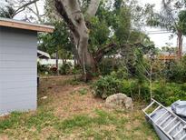 Spacious backyard with mature trees and partial view of the home's exterior at 6324 Case Ave, Bradenton, FL 34207