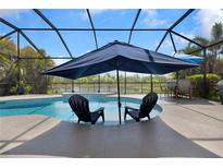 Relaxing screened-in pool area with a shaded seating area and tranquil views of the lake and blue skies at 2918 130Th E Ave, Parrish, FL 34219