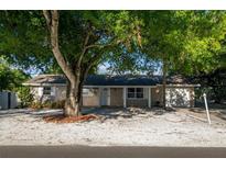 Charming single-story home with a gravel front yard and mature shade trees enhancing curb appeal at 95 S Briggs Ave, Sarasota, FL 34237