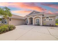 Inviting single-story home featuring a tile roof, manicured landscaping, and a spacious driveway leading to a two-car garage at 244 Dove Trl, Bradenton, FL 34212