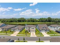 Beautiful homes line the street with water view, showcasing curb appeal and scenic surroundings at 9095 Rally Spring Loop, Wesley Chapel, FL 33545