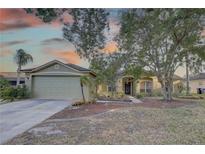 Inviting single-story home featuring a two-car garage, well-manicured lawn, and lush trees at 12805 Raysbrook Dr, Riverview, FL 33569