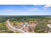 Expansive aerial view of home showcasing large lot with mature trees and scenic surroundings at 1116 406Th E Ct, Myakka City, FL 34251