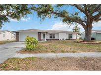 Charming single Gathering home with a large, shady tree in the front yard at 1007 Southern Pine Ln, Sarasota, FL 34243