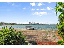 Expansive backyard featuring a private dock with views of the water and the city skyline at 377 22Nd Se Ave, St Petersburg, FL 33705