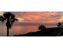 Scenic waterfront view featuring palm trees and a vibrant sunrise or sunset over the ocean at 3420 Wild Oak Bay Blvd # 120, Bradenton, FL 34210