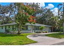 Charming single-story home with a circular driveway and mature landscaping, enhanced by a colorful flowering tree at 1773 South Dr, Sarasota, FL 34239