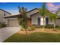 Charming single-story home with a manicured lawn, landscaping, and a welcoming front entrance at 13422 Willow Bluestar Loop, Riverview, FL 33579