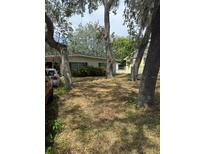Lawn view featuring a single-story home nestled among mature trees, showcasing its quaint charm and natural surroundings at 6013 Idle A While Cir, Dade City, FL 33523