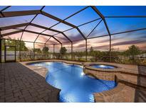 Inviting screened-in pool area with a hot tub, perfect for relaxation and outdoor enjoyment at 1657 Bonita Bluff Ct, Ruskin, FL 33570