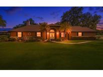 Charming single-story home with an inviting front yard and beautiful palm trees at 3021 Leila Estelle Dr, Plant City, FL 33565