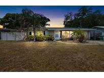 Charming home with palm trees, well-kept landscaping, and a quaint front walkway at 10827 Village Green Ave, Seminole, FL 33772