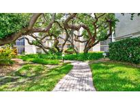Inviting landscaped walkway with mature trees and lush greenery surrounding a well-maintained building at 6157 Midnight Pass Rd # E65, Sarasota, FL 34242