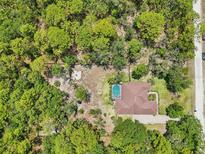 Secluded home with mature trees, a pool, and a spacious yard perfect for relaxing and enjoying the outdoors at 18026 Nutcracker Rd, Weeki Wachee, FL 34614