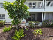 Cozy condo featuring a charming landscaped yard with lush greenery and a private balcony at 2207 Sunset Dr # E5, Bradenton, FL 34207