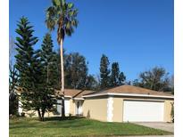 Charming single-story home featuring a two-car garage, neutral stucco, and a well-manicured front lawn at 2726 Knoll E St, Palm Harbor, FL 34683