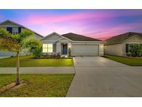 Charming single-story home featuring a well-manicured lawn and two-car garage at 16746 Parker River St, Wimauma, FL 33598