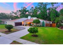 Charming single-story home with lush lawn, mature trees, neutral palette, and a two-car garage at 3006 Wister Cir, Valrico, FL 33596