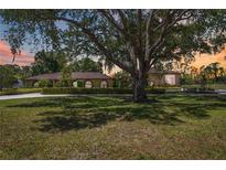 Expansive property featuring a well-manicured lawn and mature tree offering ample shade at 4225 Ulman Ave, North Port, FL 34286
