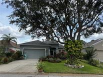 Charming single-story home with lush landscaping and a large shade tree in the front yard at 817 Tallgrass Ln, Bradenton, FL 34212