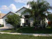 Charming single-story home featuring lush landscaping, mature palm trees, and well-maintained lawn at 11009 Connacht Way, Tampa, FL 33610