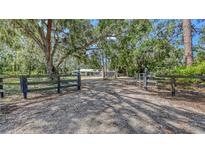 Long shell driveway leading to a charming home surrounded by lush trees and greenery at 6990 Richardson Rd, Sarasota, FL 34240
