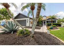 Landscaped front yard featuring palm trees and dark mulch surrounding the flower beds at 11021 4Th E Ave, Bradenton, FL 34212