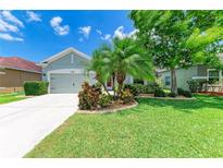 Well-maintained single-story house featuring a lush green lawn with vibrant tropical landscaping and a two car garage at 11254 82Nd St E, Parrish, FL 34219