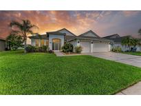 Beautiful single-story home featuring a well-manicured lawn and lush landscaping at 5319 120Th E Ave, Parrish, FL 34219