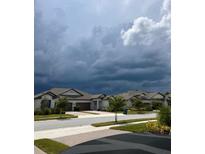 Street view of suburban homes featuring manicured lawns and inviting curb appeal at 9808 Campanula Ct, Land O Lakes, FL 34637